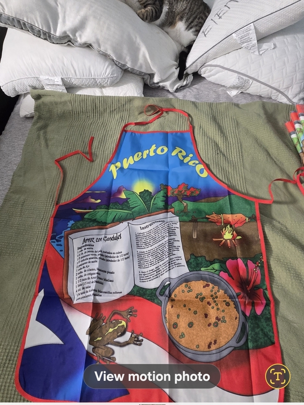 Puerto Rico Souvenir Colorful Kitchen Apron - Picture 9 of 10